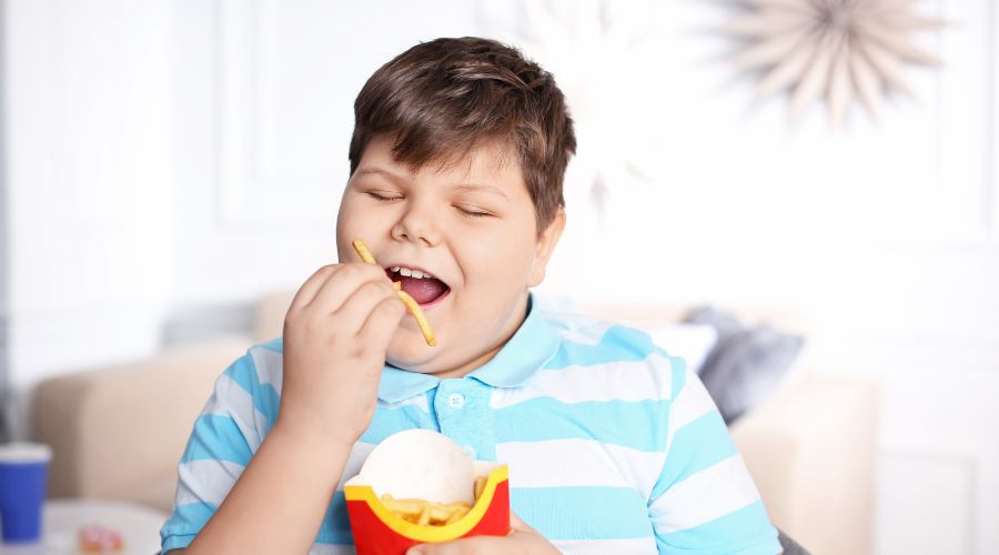 Factors Causing Childhood Obesity