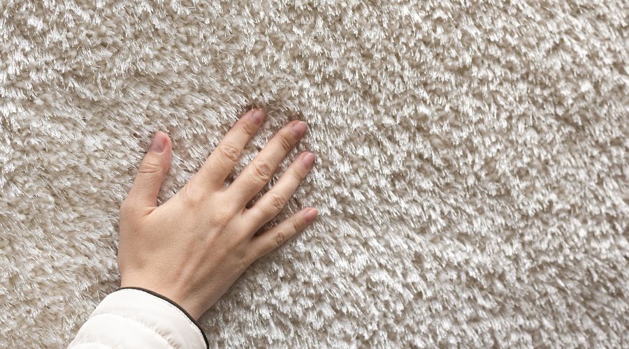 Carpet Condition