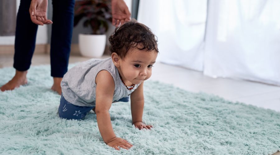 The Role of Carpets in Allergen Accumulation