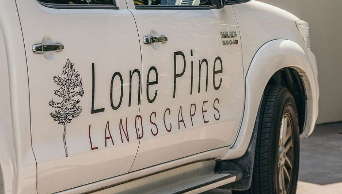 Lone Pine Landscape